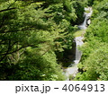 尾白川渓谷の風景