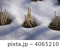 雪融け