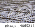 雪融け