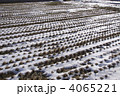 雪融け