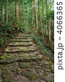 世界遺産　熊野古道