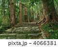 世界遺産　熊野古道