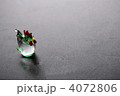 4072806