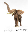 4073398