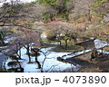 雪が積もった大倉山公園梅林