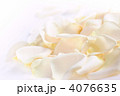 4076635