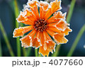 4077660
