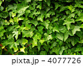 4077726