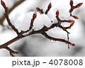 4078008