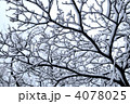 4078025