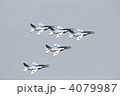 ブルーインパルス