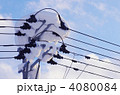雪を被った電柱