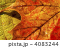 4083244