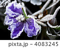 4083245