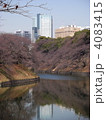 千鳥ヶ淵