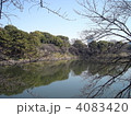 千鳥ヶ淵