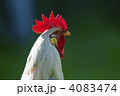 4083474