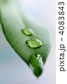 4083843