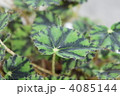 4085144