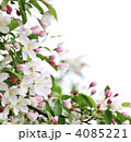 4085221