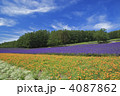 富田ファーム