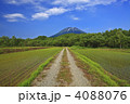田舎道
