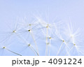 4091224