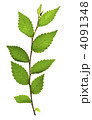 4091348