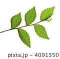 4091350