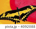4092088