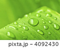 4092430