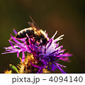 4094140
