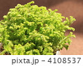 コケ。