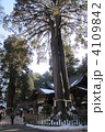 富士浅間神社