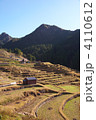 丸山千枚田