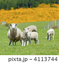 4113744