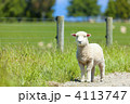 4113747