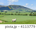 4113779