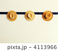 4113966