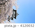 春真っ盛りの弘前城