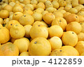 土佐文旦
