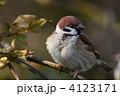 ふくら雀