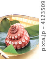 北海道産のたこ