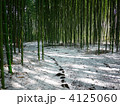竹林の冬－０２