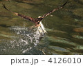 4126010