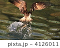 4126011