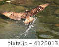 4126013