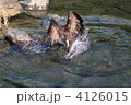4126015