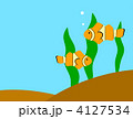 カクレクマノミ