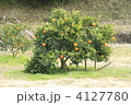 4127780